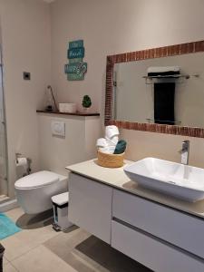 une salle de bain avec un lavabo, des toilettes et un miroir dans l'établissement PEREYBERE -Charming 2 bedrooms apartment- WITH POOL - BEACHCOVE Apartments, North Living, APT 8, à Pereybere