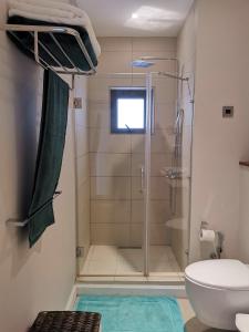 une salle de bain avec douche et toilettes dans l'établissement PEREYBERE -Charming 2 bedrooms apartment- WITH POOL - BEACHCOVE Apartments, North Living, APT 8, à Pereybere 8 autres photos