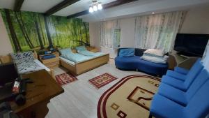 Χώρος καθιστικού στο Cabana Ciupercuța