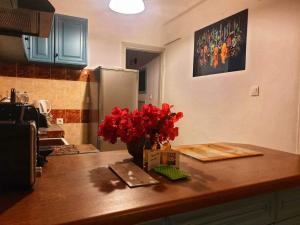 Fotografie z fotogalerie ubytování Nereida (Νηρηίδα) Luxury Apartment v destinaci Kokkari