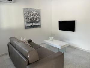 - un salon avec un canapé brun et une télévision dans l'établissement VILLA SILVIA - FUNTANA, à Funtana