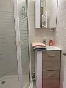 a bathroom with a shower and a sink at Petit Studio Zen avec parking gratuit réservé in Houlgate