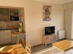 a living room with a flat screen tv and a table at Petit Studio Zen avec parking gratuit réservé in Houlgate