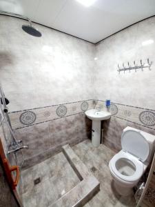 a bathroom with a toilet and a sink at Colibri Traditional Hostel in Samarkand