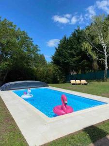 a swimming pool with two pink flamingos in it at Logement indépendant Piscine et Jardin in Creuzier-le-Neuf