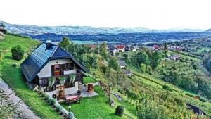 een huis bovenop een groene heuvel bij Vineyard cottage Podržaj in Otočec