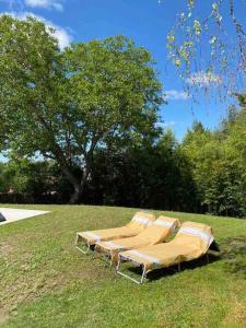 um grupo de cadeiras sentadas na relva em Logement indépendant Piscine et Jardin em Creuzier-le-Neuf