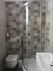 a bathroom with a shower and a toilet and a sink at Old Town in Pula +12 photos