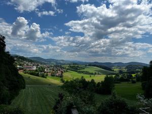 申貝格的住宿－Ferienwohnung Sonnengarten，从带绿色田野的山丘上可欣赏到乡村景色