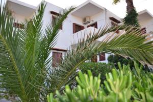 a white building with palm trees in front of it at Aristea Apartment in Milatos