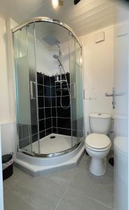 a bathroom with a shower and a toilet at Gite la Guérinière, studio entre océan et campagne ! in Saint-Cyr-du-Doret