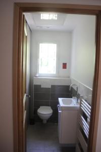 a bathroom with a toilet and a sink and a window at Maisonnette dans le verdon in Salernes