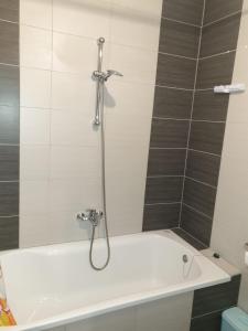 Apartman Džakula tesisinde bir banyo