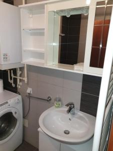 Apartman Džakula tesisinde bir banyo