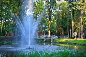 a fountain in the middle of a pond in a park at Harmonija in Ludza