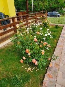 Ảnh trong thư viện ảnh của Pensiunea La Taica Iacob ở Boholt +34 ảnh