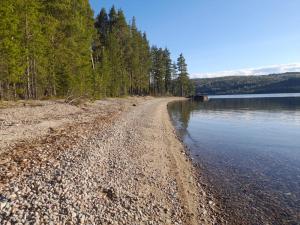 a rocky shore of a lake with trees and water at Summer bedroom, outside toilet, shower, kitchen. 120 m from Sandbach. in Bräcke