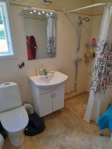 a bathroom with a sink and a toilet and a shower at Summer bedroom, outside toilet, shower, kitchen. 120 m from Sandbach. in Bräcke