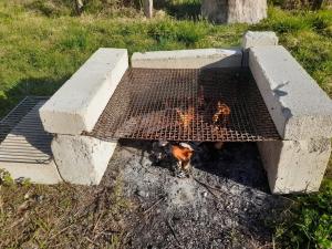 a dog is cooking in a grill in the grass at Summer bedroom, outside toilet, shower, kitchen. 120 m from Sandbach. in Bräcke