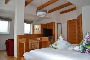 Sjónvarps- og/eða afþreyingartæki á Hotel Villa Rosa