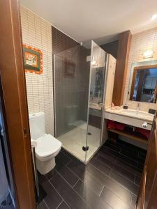 een badkamer met een douche, een toilet en een wastafel bij Apartamento del s XVI en el casco histórico de Luanco in Luanco