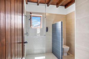 ein Badezimmer mit Dusche und Toilette in der Unterkunft Casa Domingo in Villaverde + 7 Fotos