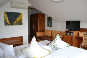 Sjónvarps- og/eða afþreyingartæki á Hotel Villa Rosa
