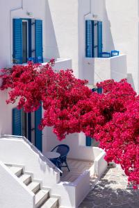 Un mazzo di fiori rosa su un edificio bianco di Ayeri Hotel a Paroikia