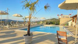 a palm tree in a pot next to a swimming pool at VillaLaDiva Boutique Glamping in Massignano