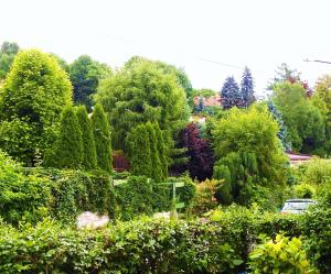 a garden with many trees and bushes at Extra Pokoje do Wynajęcia in Krakow