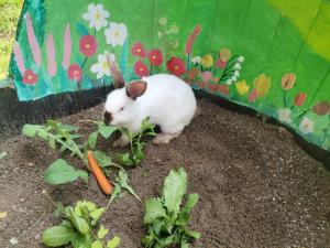 Photo de la galerie de l'établissement Stari dud Beserovina, à Bajina Bašta 27 autres photos