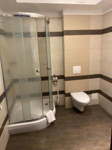 La salle de bains est pourvue d'une douche et de toilettes. dans l'établissement Hotel Alpex, à Zabrze