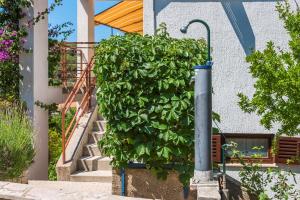 Zahrada ubytování Apartments Žirje