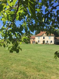 une grande pelouse avec une maison en arrière-plan dans l'établissement Maison du Guit, à Viella