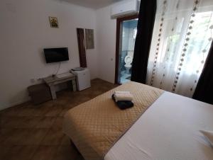 TV a/nebo společenská místnost v ubytování Casa Aura Costinești