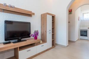 Kuchyň nebo kuchyňský kout v ubytování Apartments Žirje