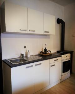uma cozinha com armários brancos, um lavatório e um fogão em Apartma Caprivi Zavod za razvoj turizma Kočevski rog em Kocevje