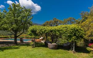 Сад в Country Relais La Mortella