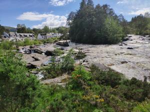 a river with a bunch of bushes and trees at Craiglea Thistle in Killin