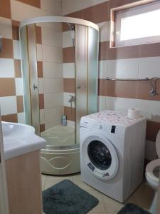 łazienka z pralką i prysznicem w obiekcie Apartment Dasic w Barze