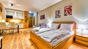 Fotografia z galérie ubytovania Apartamenty GÓRNA RESORT v destinácii Szklarska Poręba