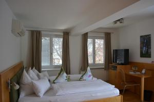 Sjónvarps- og/eða afþreyingartæki á Hotel Villa Rosa