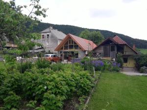 Příroda nedaleko apartmánu