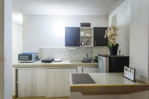 a small kitchen with a counter and a refrigerator at DepaB privado, centrico,Wifi 80 mb ,aire acondicionado ,cocina, cochera techada, in Ciudad Valles
