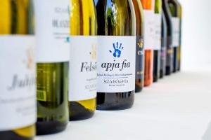 Photo de la galerie de l'établissement Balatoncsicsói Borhaz, à Balatoncsicsó