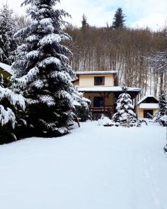 een huis met een met sneeuw bedekte boom ervoor bij TreeHouse in Pădurea Neagră