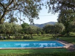 basen w ogrodzie z drzewami w obiekcie OUSTAOU DU GAYET gîte de charme avec piscine privée w mieście Lourmarin