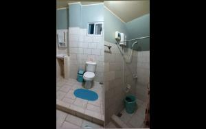 ein Badezimmer mit einem WC und einer Dusche mit einem blauen Teppich in der Unterkunft Sunset Vista Sea Front Guest House in Camotes Islands