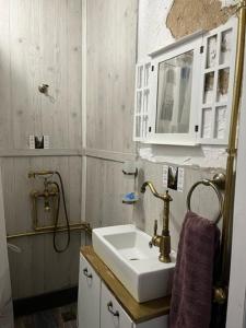 ein Badezimmer mit einem Waschbecken und einer Mikrowelle in der Unterkunft VILA MILICA & SPA ALEKSANDRA in Dimitrovgrad