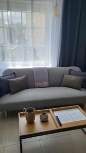 a living room with a couch and a coffee table at Apartament Mochnackiego in Olsztyn